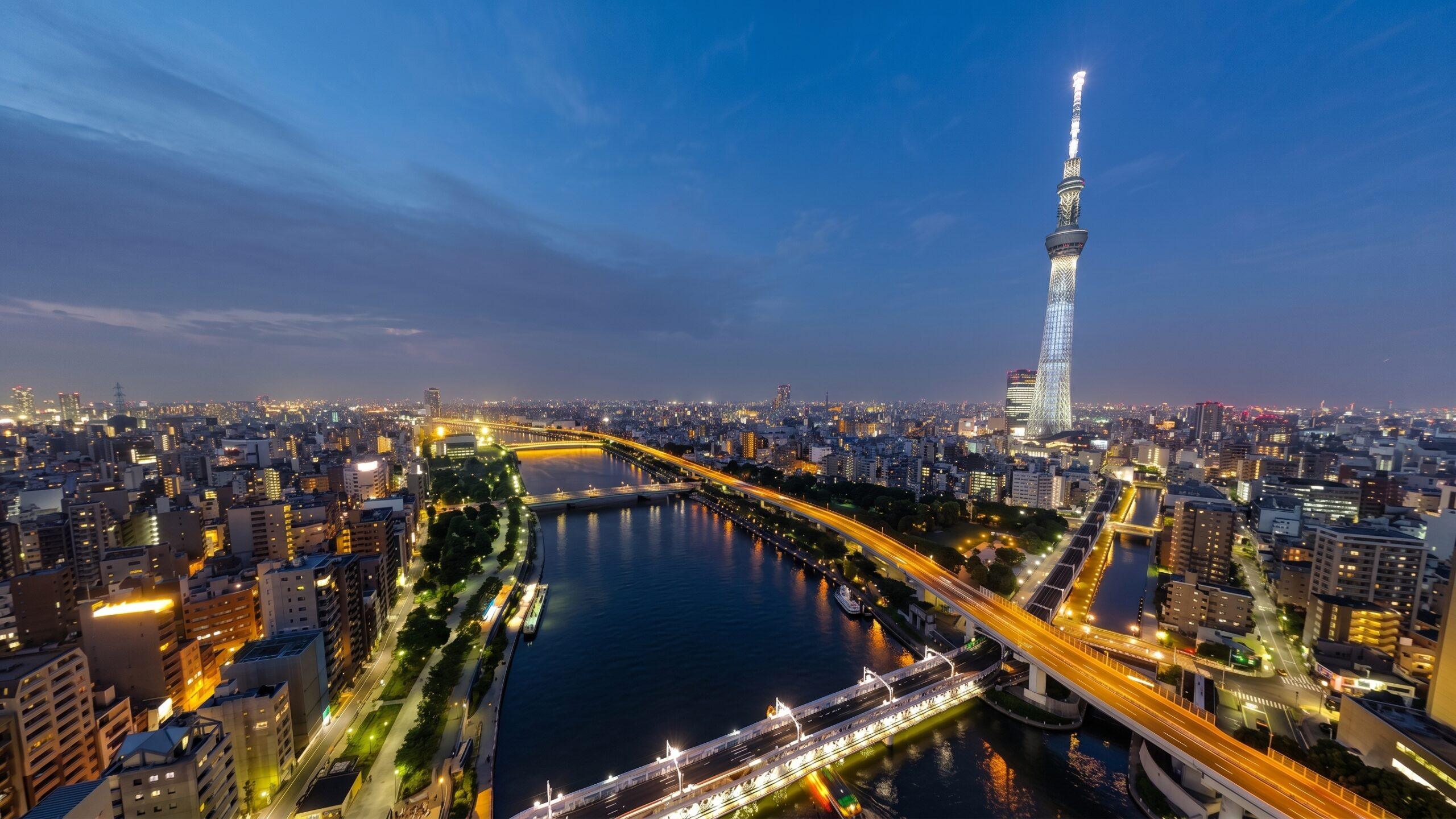 夜の東京の市街地を上空から見た風景。隅田川と東京スカイツリーが写っている